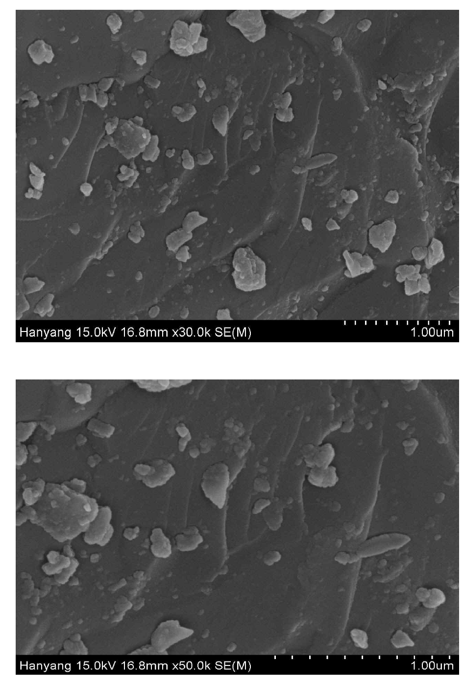 페로니켈 슬래그의 SEM(Scanning Electron Microscope) 사진