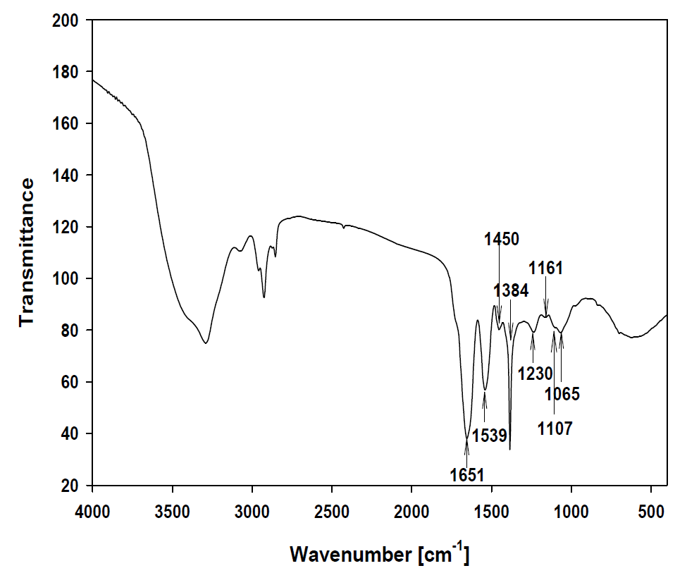 C. glutamicum 바이오매스의 FT-IR 스펙트럼 분석