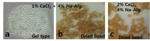 칼슘농도 변화에 따른 알지네이트 비드의 합성