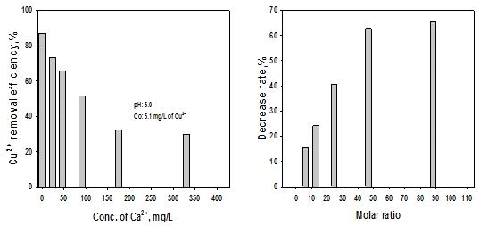 칼슘의 존재가 구리 제거율에 미치는 영향