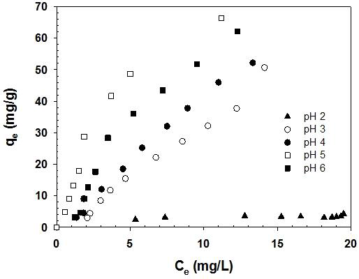 구리 흡착에서 pH 영향