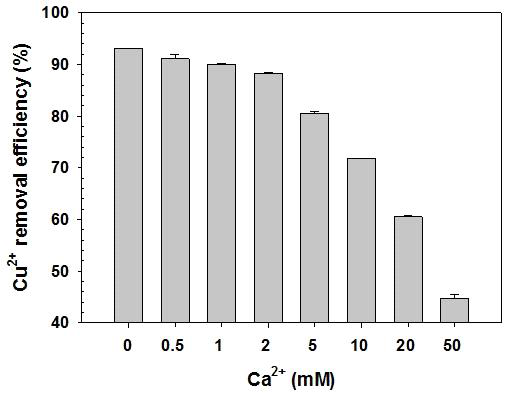 칼슘과 구리이온의 몰비에 따른 구리 제거효율