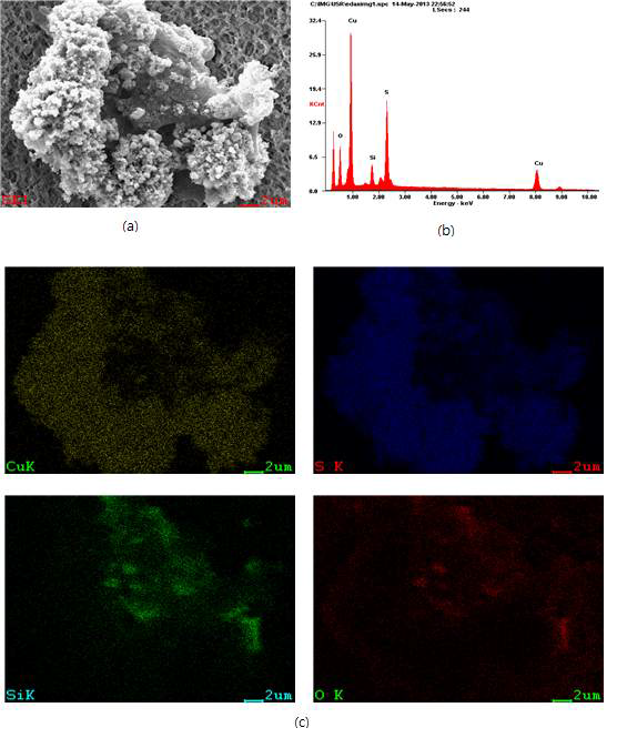 (a) Cluster type CuS SEM, (b) Cluster type CuS EDS, (c) Cluster type CuS Mapping