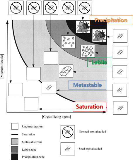 용해도 곡선 및 결정 성장 가능 영역