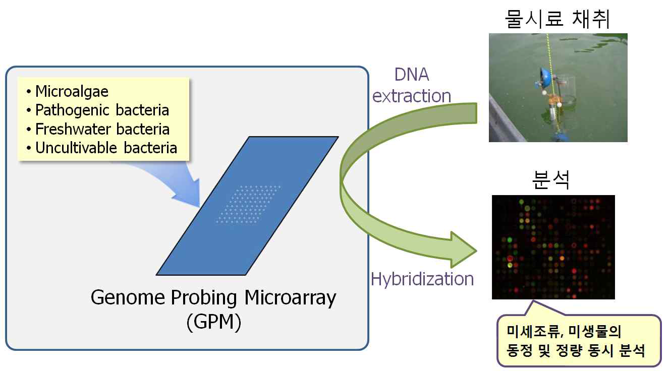 GPM의 수생태 미생물과 미세조류 동시분석 개념도