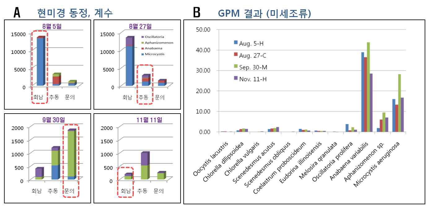 현미경 동정, 계수 결과(A)와 GPM 결과(B)의 비교