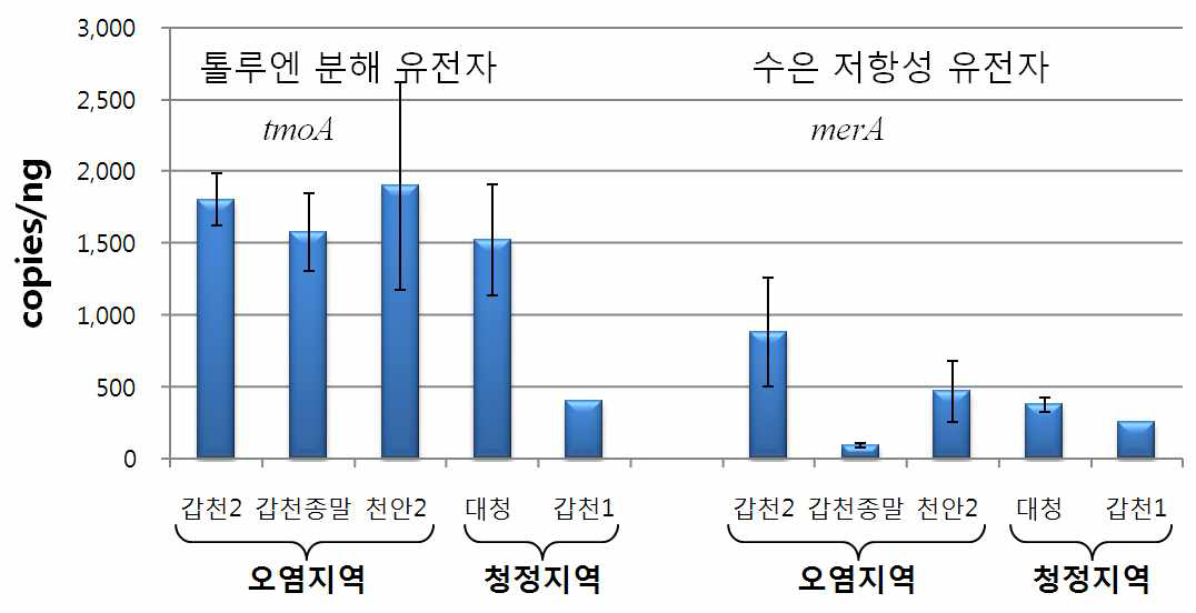 오염지역과 청정지역에서의 톨루엔 분해 유전자와 수은 저항성 유전자의 밀도 비교