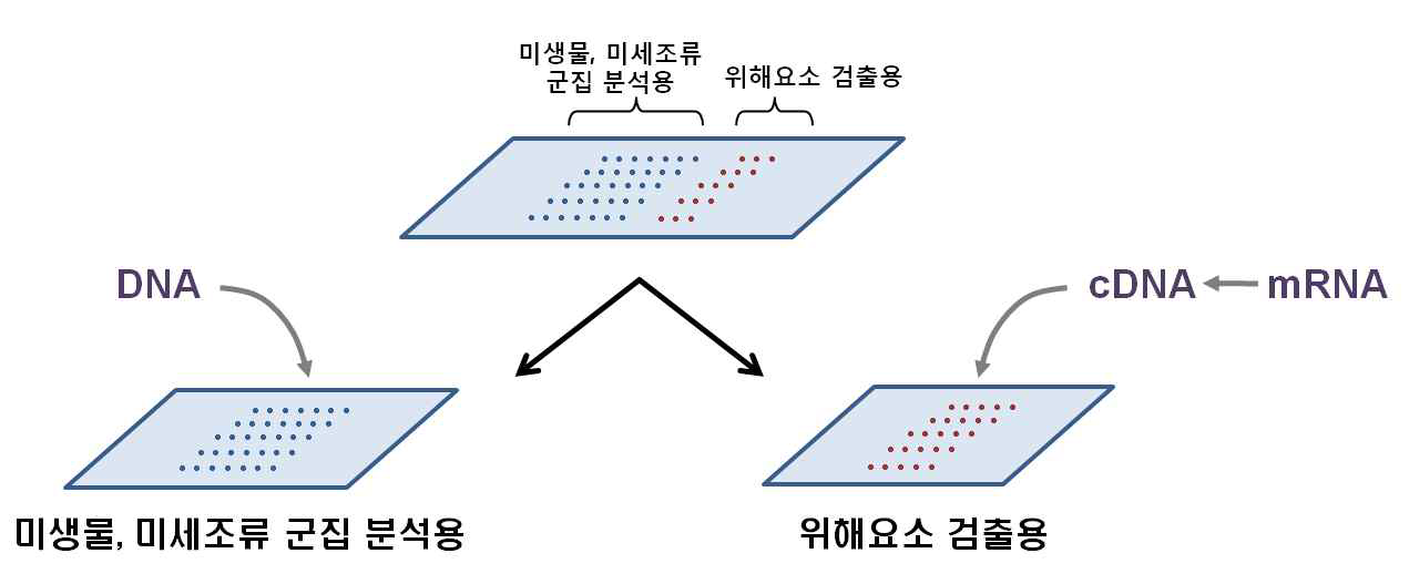 용도 및 분석방법의 차이에 따른 두 가지 타입의 DNA 칩