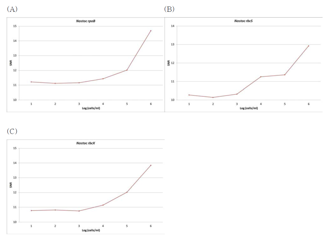 Nostoc의 유전자 (a) rpoB, (b) rbcS, (c) rbcX를 기반으로 제작된 프로브를 이용한 DNA 칩의 정량성