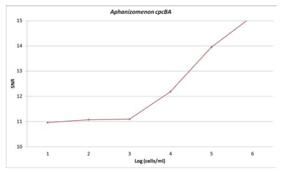 Aphanizomenon의 cpcBA 유전자를 기반 DNA 칩의 정량성