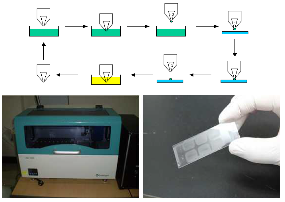 칩 집적 기기에 의한 DNA 칩 제작