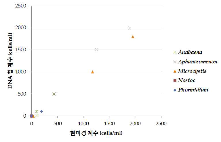 DNA 칩을 이용한 환경 시료의 남조류의 계수와 현미경 계수의 비교