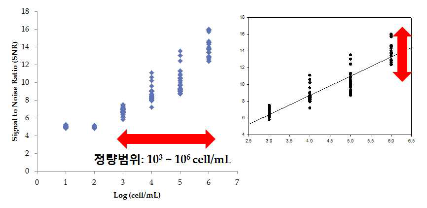 DNA 칩을 이용한 검출의 정량범위