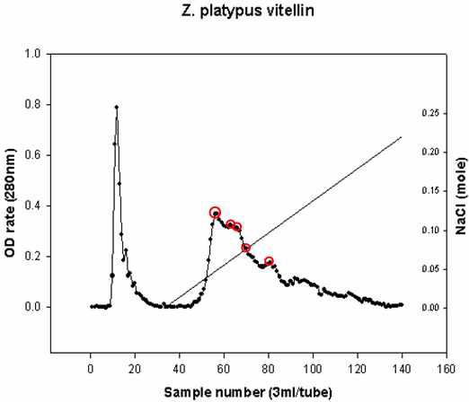 Elution pattern of egg extract using DE-52 ion-exchange chromatography