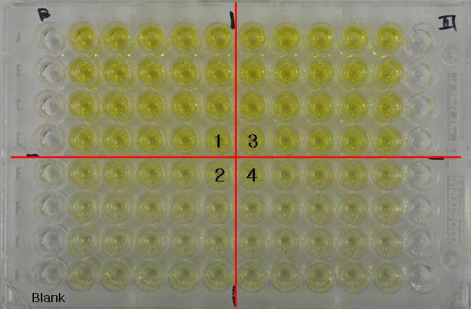 ELISA assay for determination of Optimal capture antibody (monoclonal antibody) concentration, detecting antibody (polyclonal antibody) concentration and standard concentration