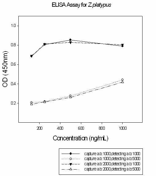 Determination of optimal capture antibody (monoclonal antibody) concentration, detecting antibody (polyclonal antibody) concentration and standard concentration