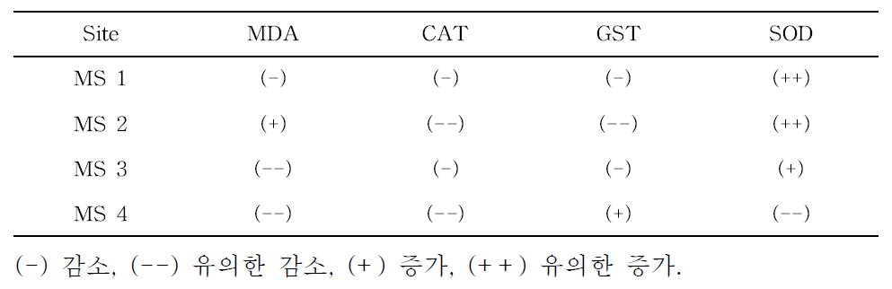 1차 시범하천 산화손상 바이오마커의 반응 요약