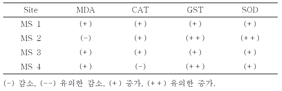 3차 시범하천 산화손상 바이오마커의 반응 요약