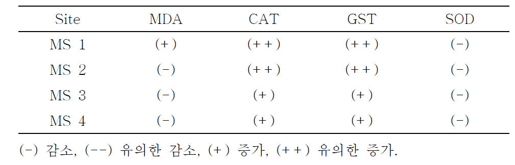 3차 시범하천 산화손상 바이오마커의 반응 요약