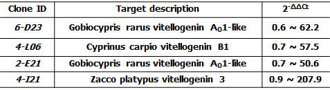 4가지 비텔로제닌 유전자에 대한 real time RT-PCR 결과