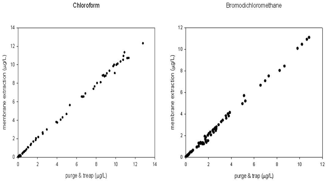 Purge & Trap법과 Membrane 추출법 간의 상관성 결과(상관계수 0.979이상, 유의수준 1%)
