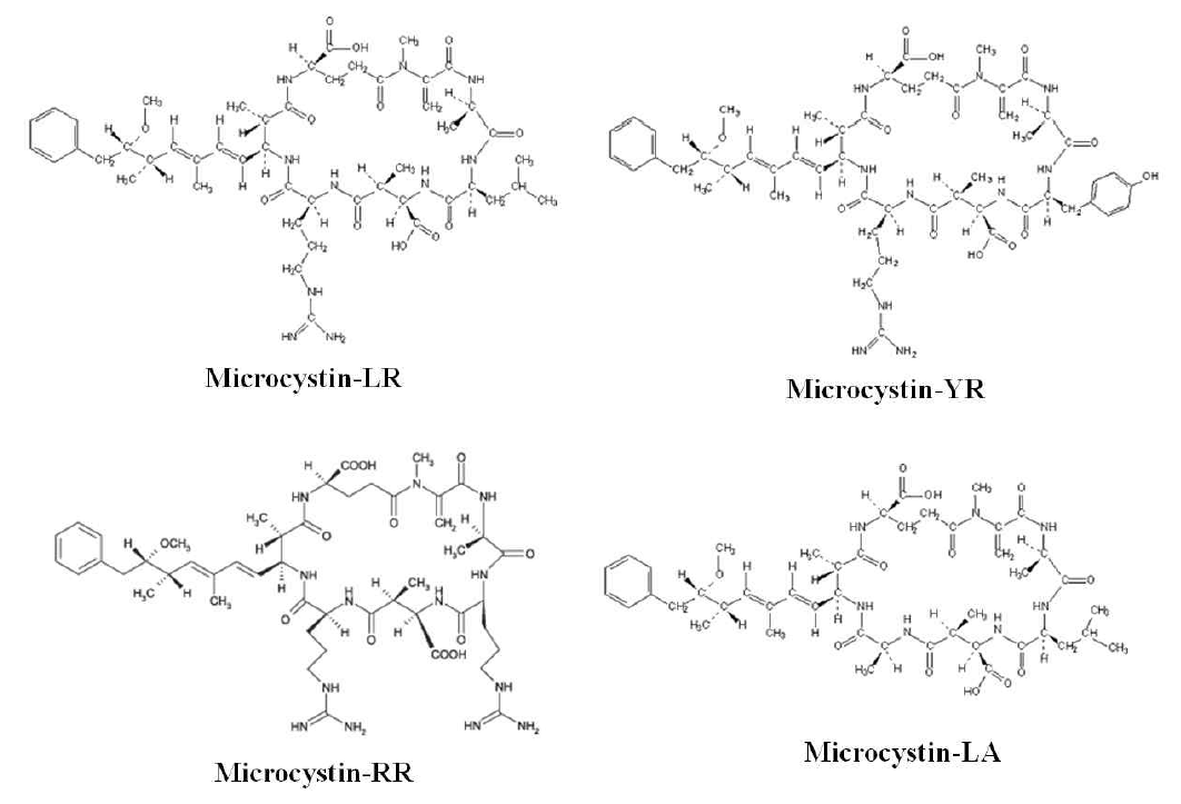 Microcystin의 종류