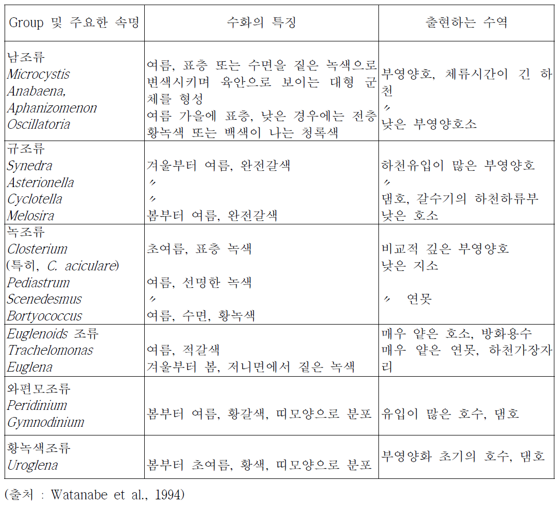 수화를 형성하는 담수조류와 그 특징