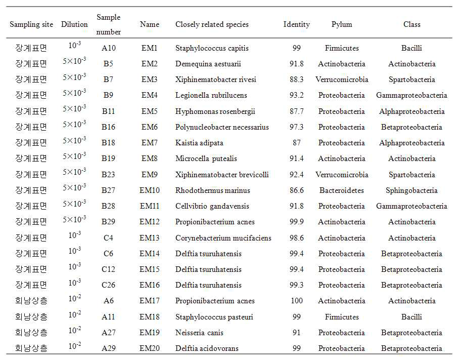 Phylogenetic affiliation of 16S rRNA genes amplified by digital MDA of single cells