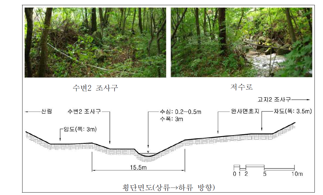 둔내 자연휴양림 하천 중류 자연수변림 횡단면구조