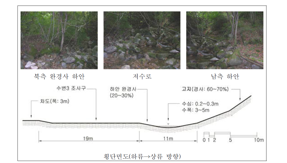 둔내 자연휴양림 하천 하류 자연수변림 횡단면구조