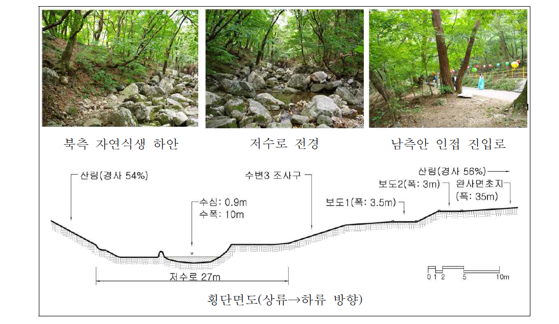 용문천 상류 자연수변림 횡단면구조