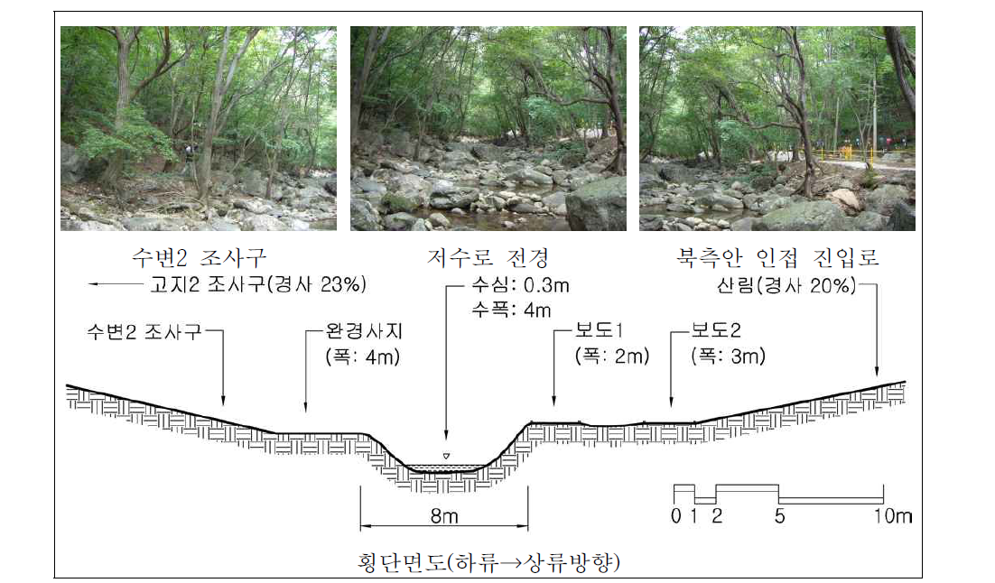 용문천 중류 자연수변림 횡단면구조