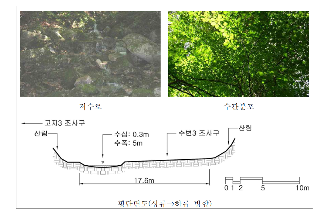 천은사 하천 상류 자연수변림 횡단면구조