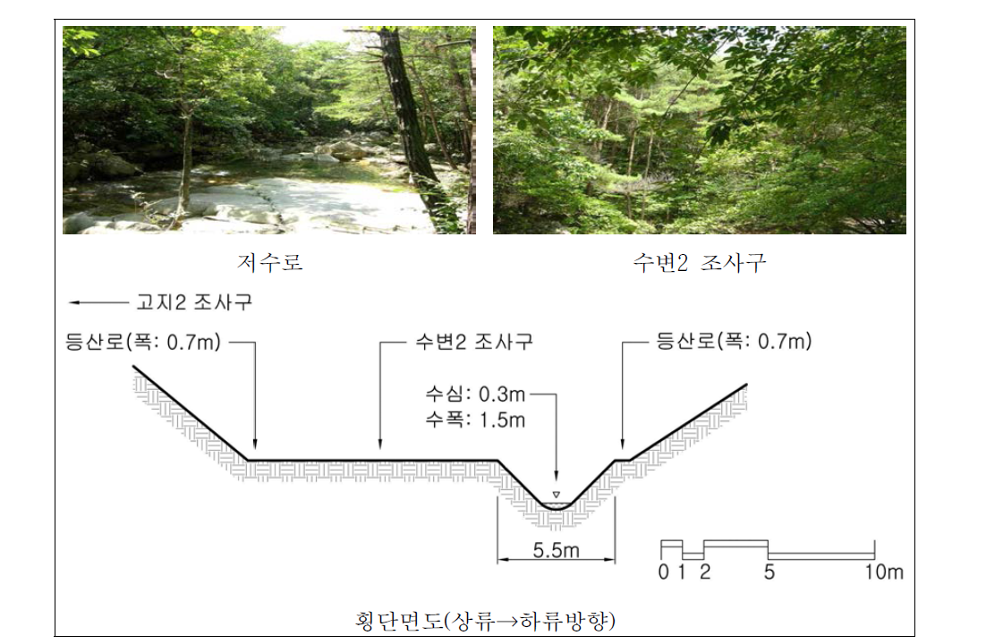 동달천 중류 자연수변림 횡단면구조