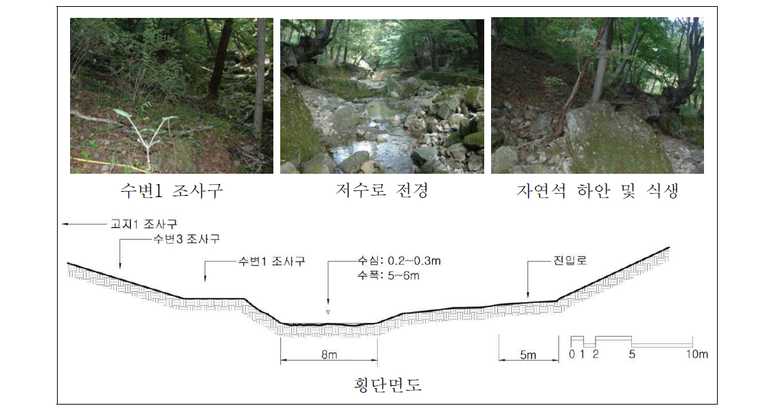 용수천 중류 자연수변림 횡단면구조