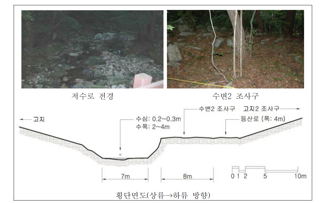 용수천 상류 자연수변림 횡단면구조