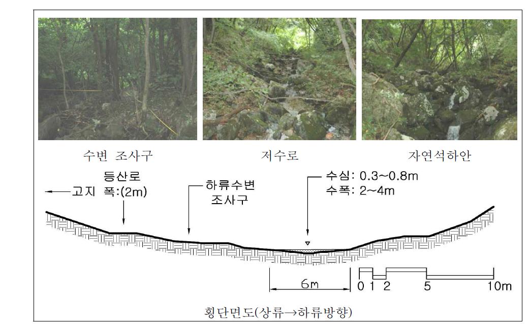 칠갑산 냉천골 하류 자연수변림 횡단면구조