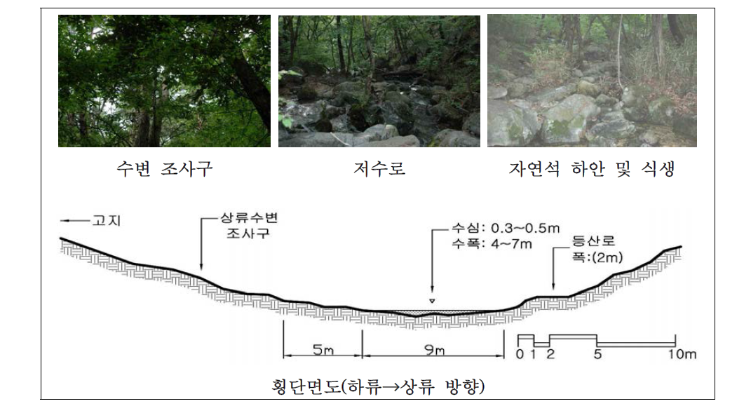 갑사계곡 상류 자연수변림 횡단면구조