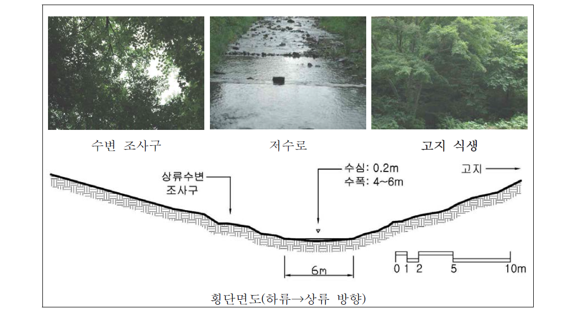 만수산 자연휴양림 하천 상류 자연수변림 횡단면구조