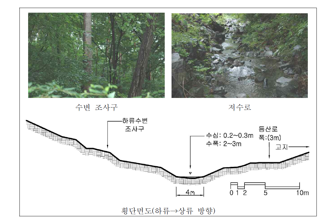 만수산 자연휴양림 하천 하류 자연수변림 횡단면구조