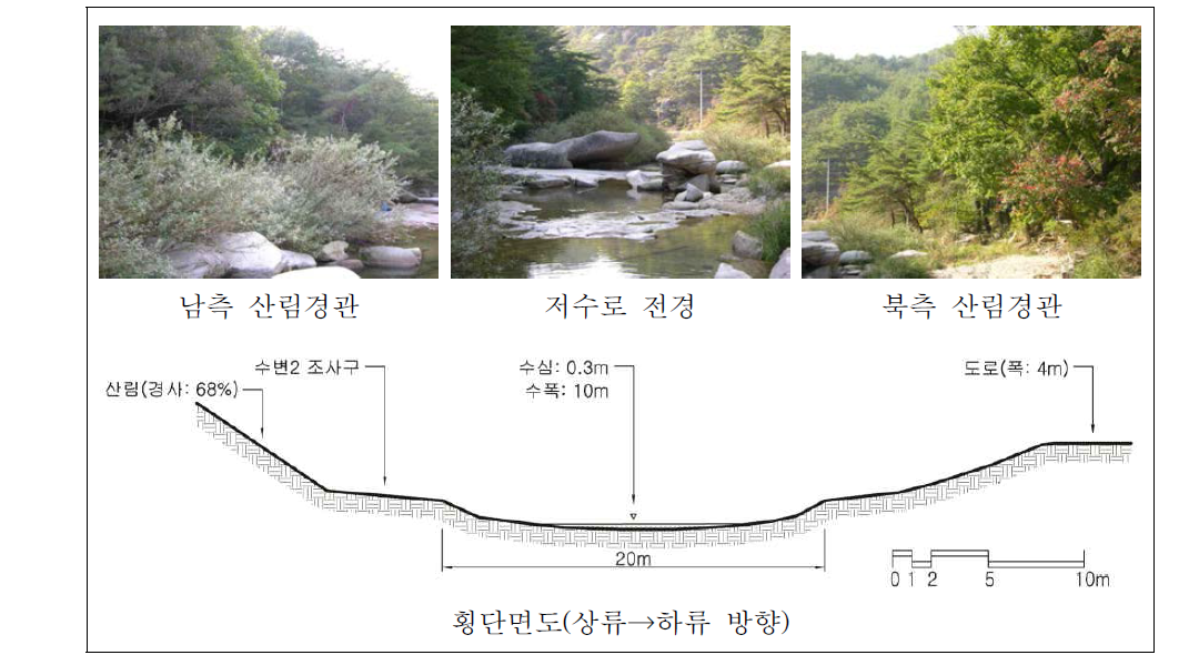 관평천 중류 자연수변림 횡단면구조