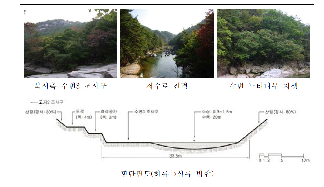 관평천 하류 자연수변림 횡단면구조