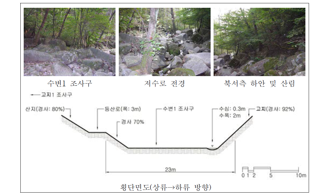 팔공산 수태골 하류 자연수변림 횡단면구조