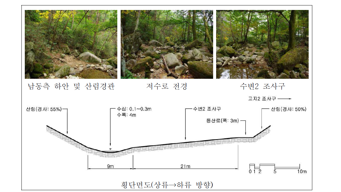 팔공산 수태골 중류 자연수변림 횡단면구조