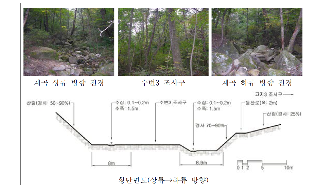 팔공산 수태골 상류 자연수변림 횡단면구조