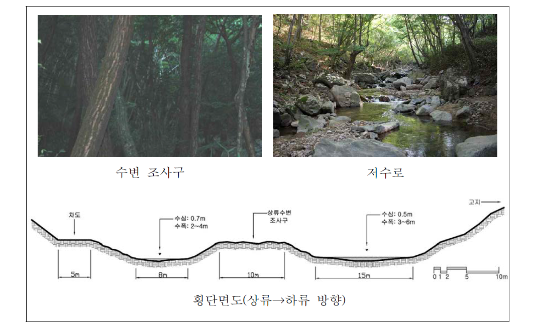 해인사 하천 상류 자연수변림 횡단면구조