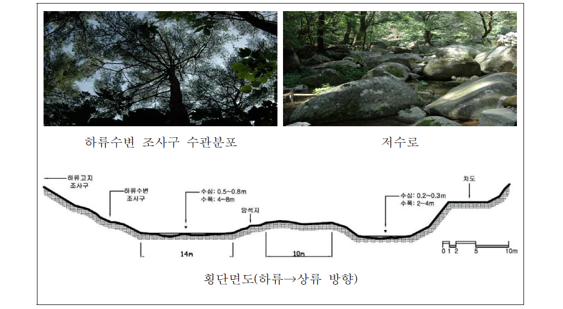 해인사 하천 하류 자연수변림 횡단면구조