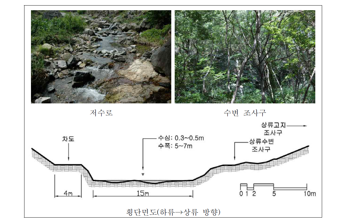 원동천 상류 자연수변림 횡단면구조