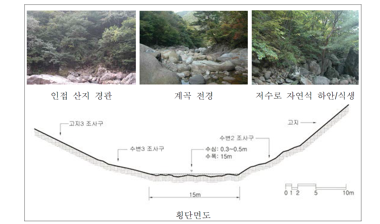 화개천 자연수변림 횡단면구조