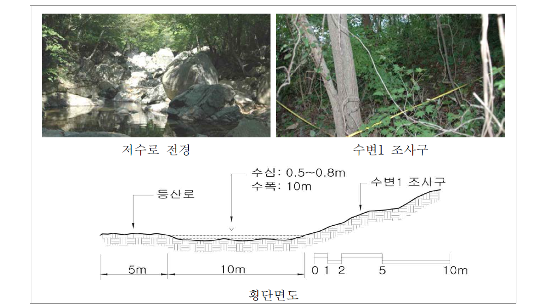 수어천 상류 자연수변림 횡단면구조